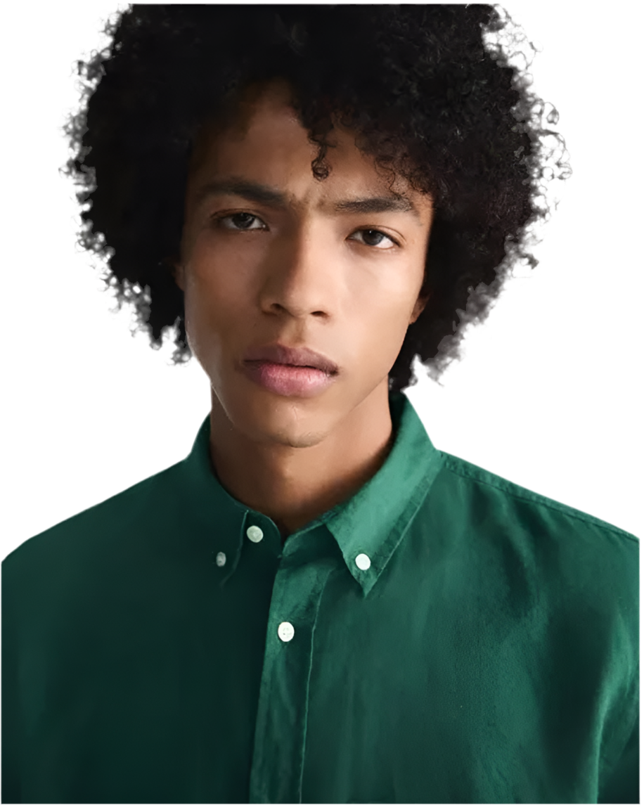tailored fit shirt