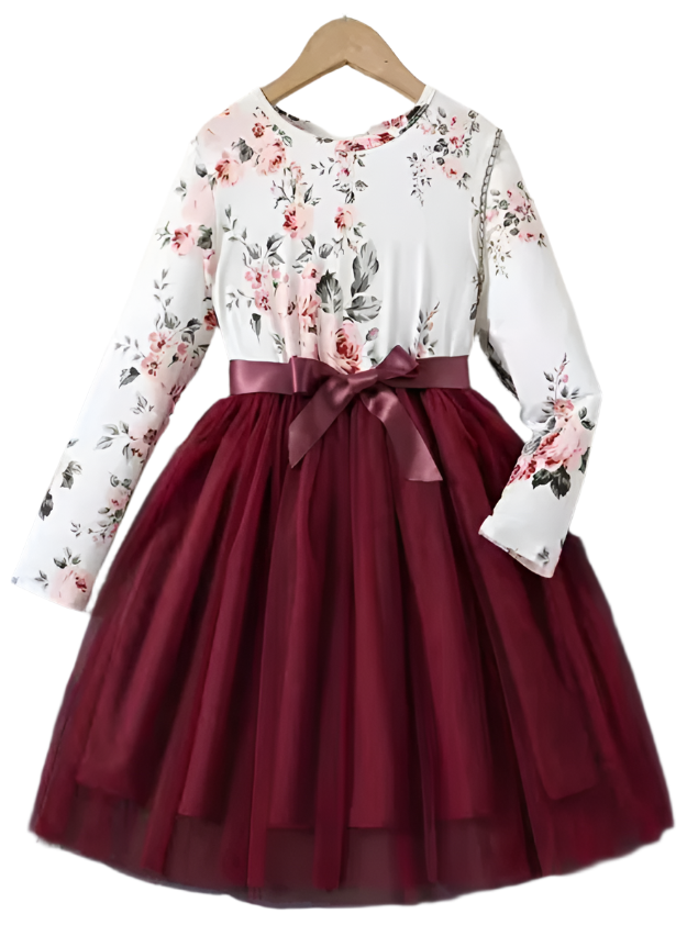 round neck long sleeves frock