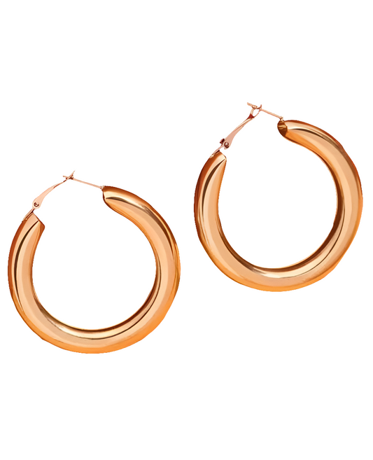 Aos glittering hoop earning